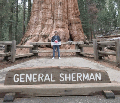 Bedu Marc in the Sequoia Nationalpark with the world's most impressive tree